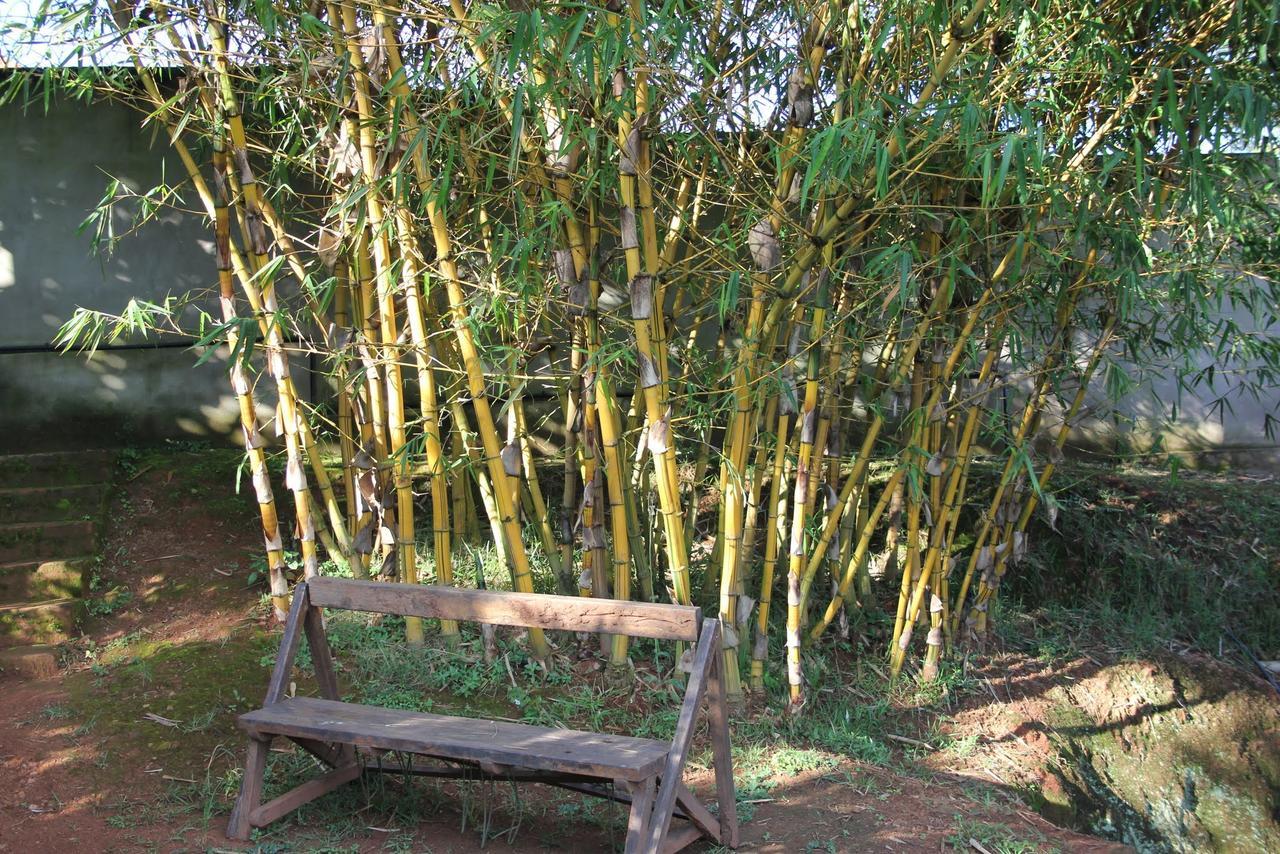 Banda Lodge Masaka Ngoại thất bức ảnh